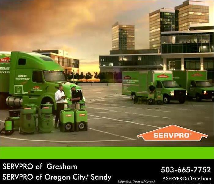 fleet of SERVPRO trucks 